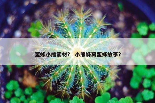 蜜蜂小熊素材？ 小熊蜂窝蜜蜂故事？