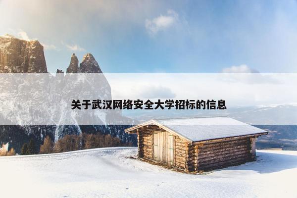 关于武汉网络安全大学招标的信息