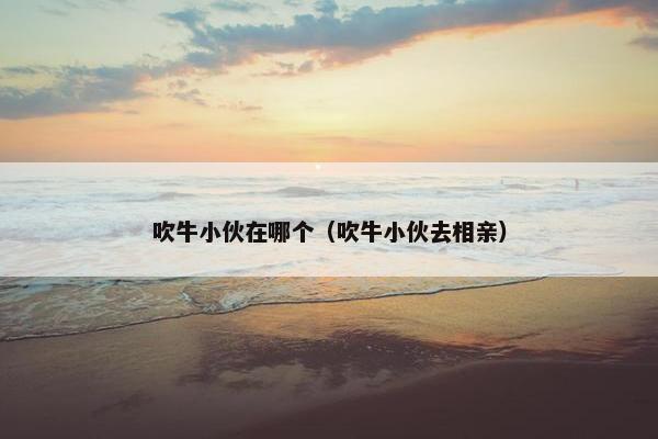吹牛小伙在哪个（吹牛小伙去相亲）
