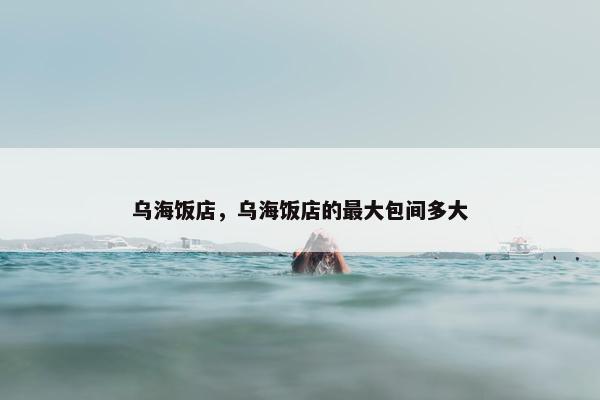 乌海饭店，乌海饭店的最大包间多大