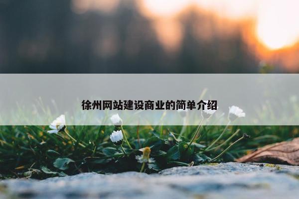 徐州网站建设商业的简单介绍