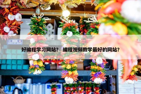好编程学习网站？ 编程视频教学最好的网站？