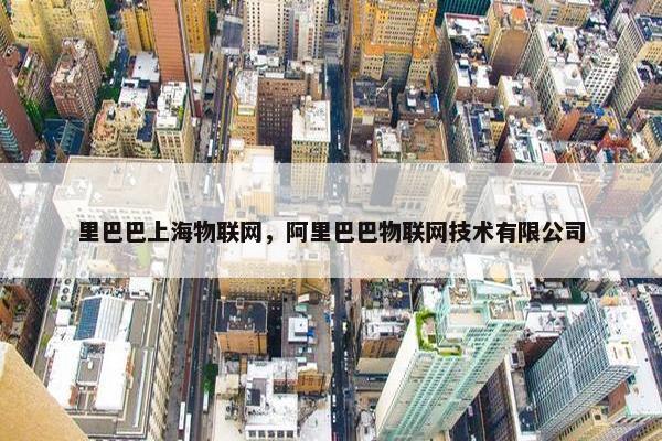 里巴巴上海物联网，阿里巴巴物联网技术有限公司