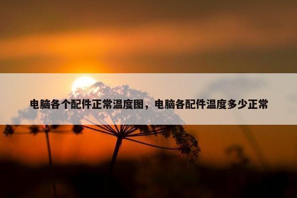 电脑各个配件正常温度图，电脑各配件温度多少正常