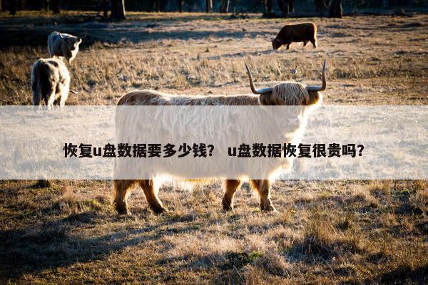 恢复u盘数据要多少钱？ u盘数据恢复很贵吗？