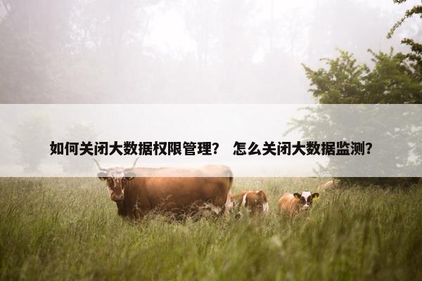 如何关闭大数据权限管理？ 怎么关闭大数据监测？