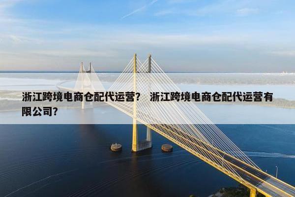 浙江跨境电商仓配代运营？ 浙江跨境电商仓配代运营有限公司？