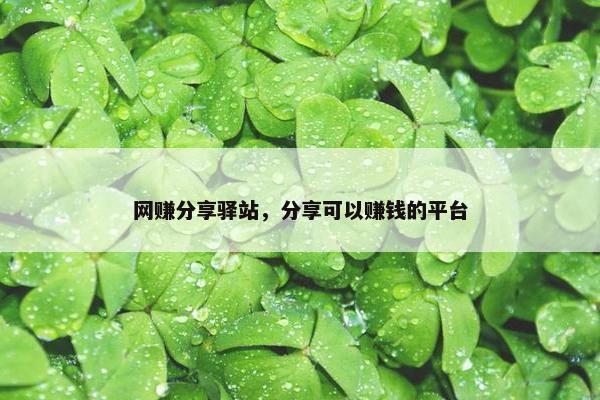 网赚分享驿站，分享可以赚钱的平台