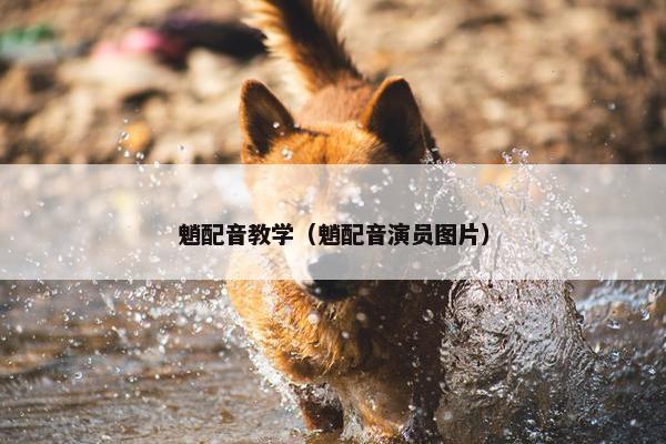 魈配音教学（魈配音演员图片）