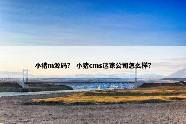 小猪m源码？ 小猪cms这家公司怎么样？