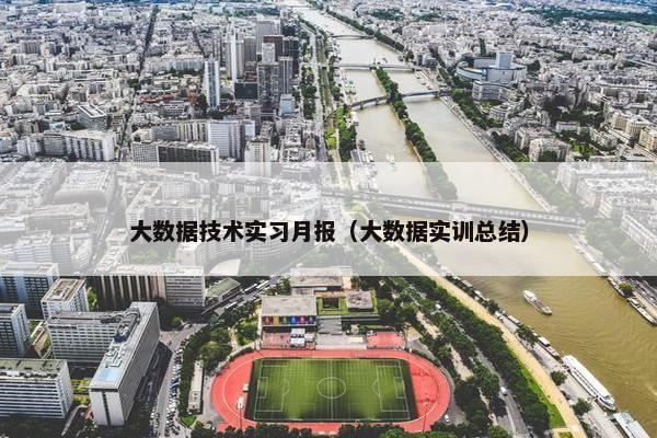 大数据技术实习月报（大数据实训总结）