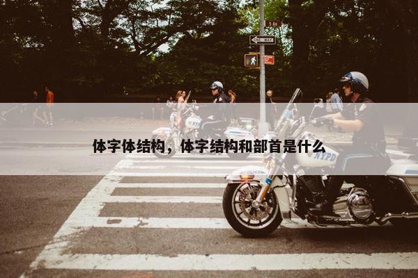 体字体结构，体字结构和部首是什么
