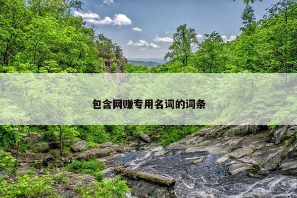 包含网赚专用名词的词条