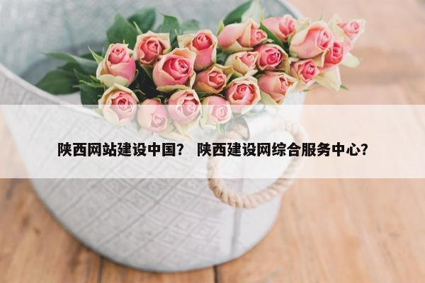 陕西网站建设中国？ 陕西建设网综合服务中心？