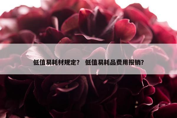 低值易耗材规定？ 低值易耗品费用报销？