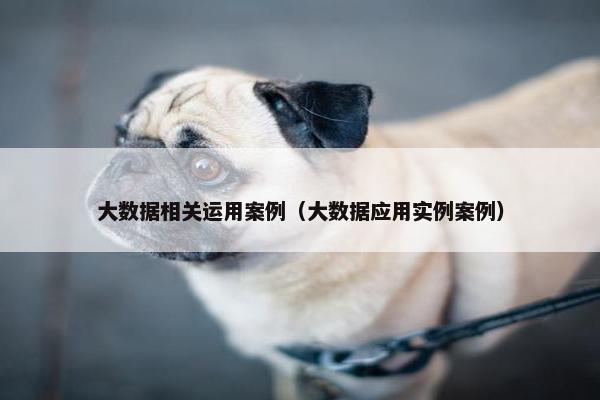 大数据相关运用案例（大数据应用实例案例）