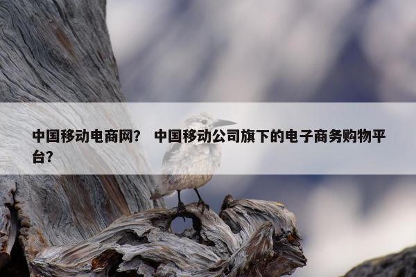 中国移动电商网？ 中国移动公司旗下的电子商务购物平台？