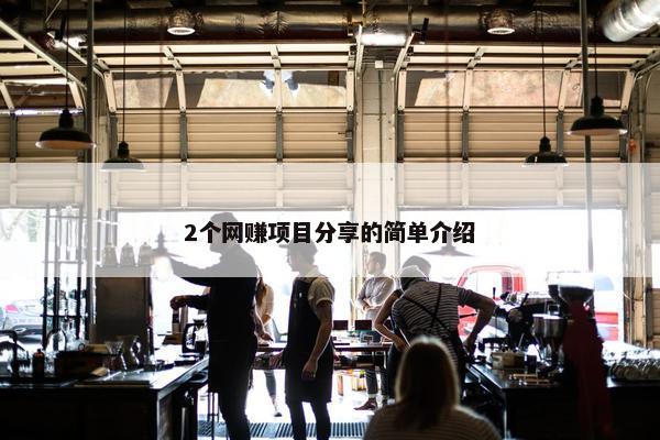 2个网赚项目分享的简单介绍