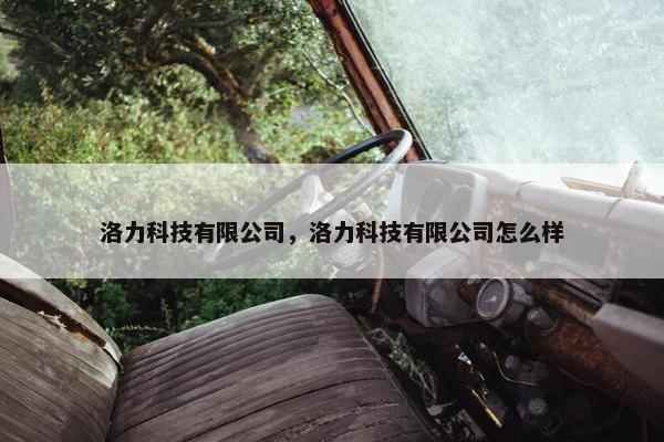 洛力科技有限公司，洛力科技有限公司怎么样
