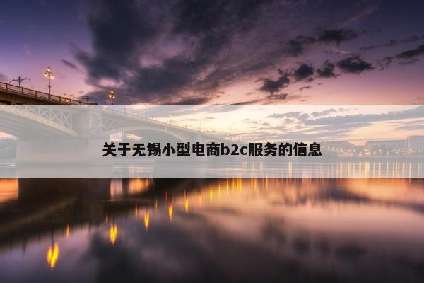 关于无锡小型电商b2c服务的信息