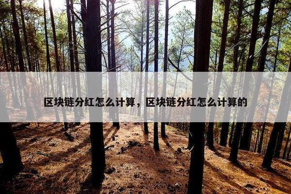区块链分红怎么计算，区块链分红怎么计算的