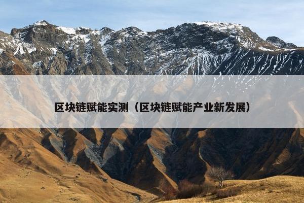 区块链赋能实测（区块链赋能产业新发展）