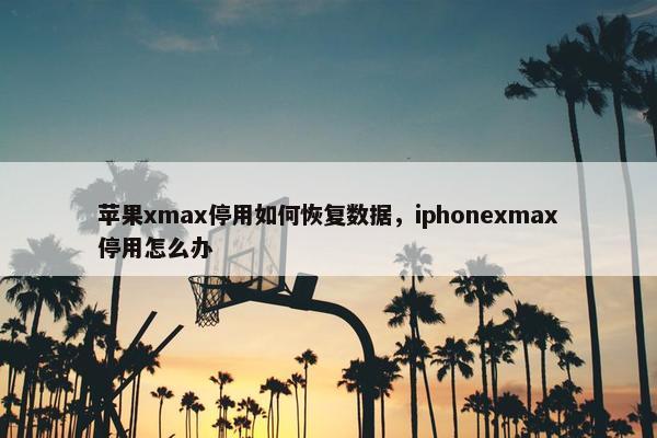 苹果xmax停用如何恢复数据，iphonexmax停用怎么办