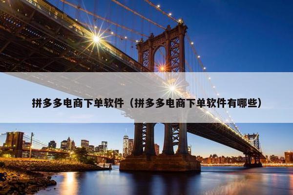 拼多多电商下单软件（拼多多电商下单软件有哪些）