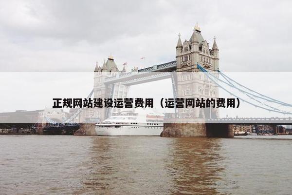 正规网站建设运营费用（运营网站的费用）