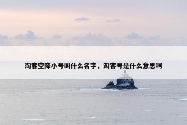 淘客空降小号叫什么名字，淘客号是什么意思啊