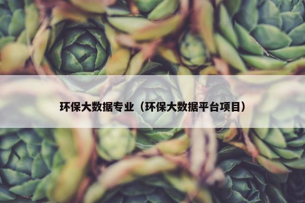 环保大数据专业（环保大数据平台项目）