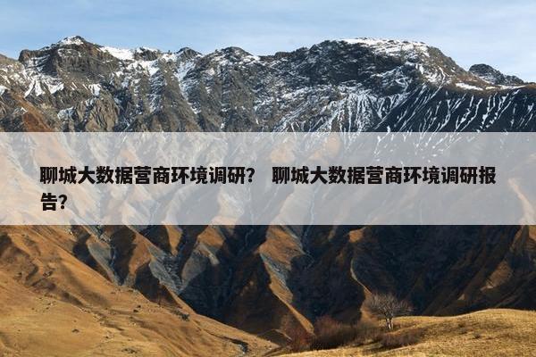 聊城大数据营商环境调研？ 聊城大数据营商环境调研报告？