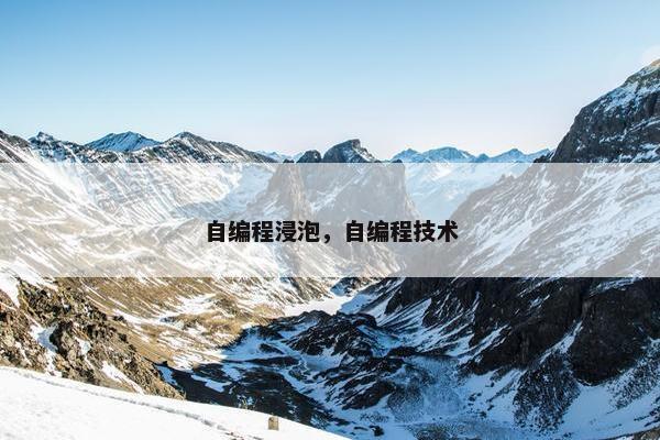 自编程浸泡，自编程技术