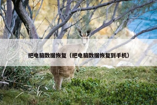 把电脑数据恢复（把电脑数据恢复到手机）