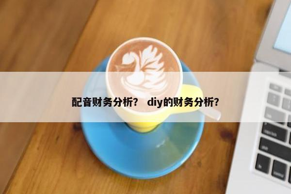配音财务分析？ diy的财务分析？