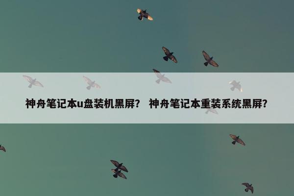 神舟笔记本u盘装机黑屏？ 神舟笔记本重装系统黑屏？