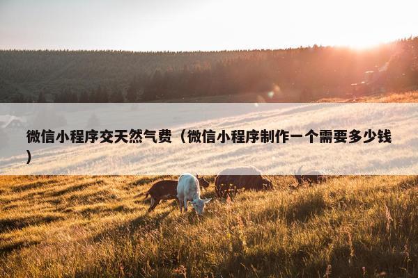 微信小程序交天然气费（微信小程序制作一个需要多少钱）