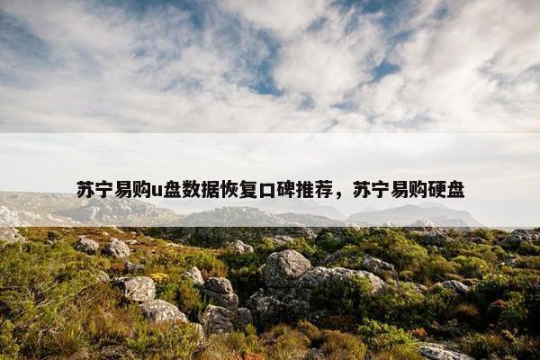 苏宁易购u盘数据恢复口碑推荐，苏宁易购硬盘