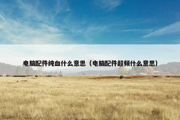 电脑配件纯血什么意思（电脑配件超频什么意思）