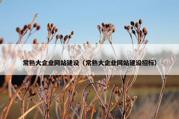 常熟大企业网站建设（常熟大企业网站建设招标）