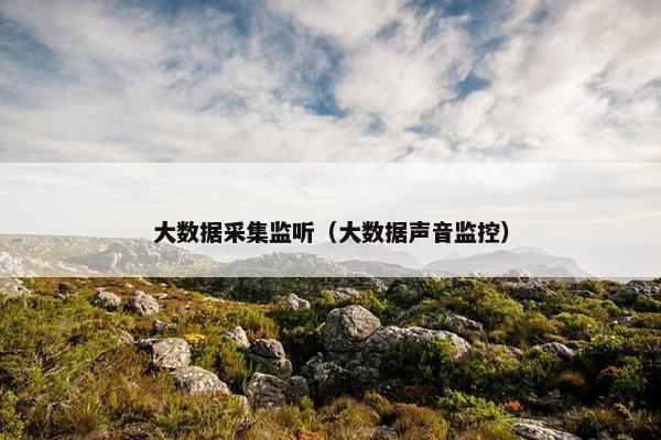 大数据采集监听（大数据声音监控）