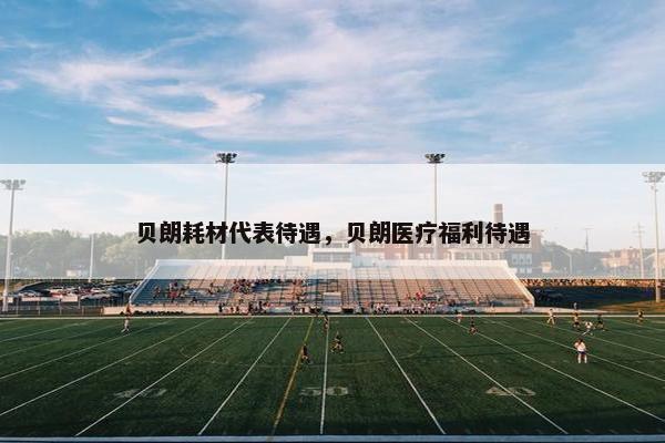 贝朗耗材代表待遇，贝朗医疗福利待遇