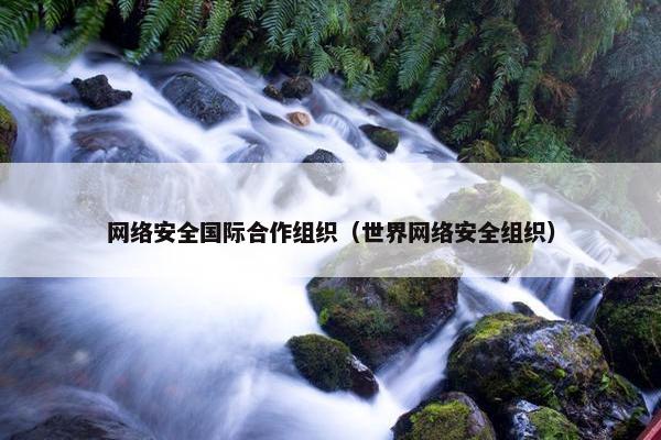 网络安全国际合作组织（世界网络安全组织）