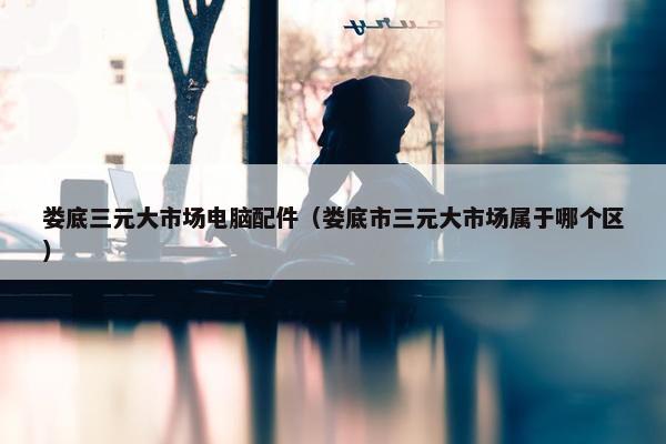 娄底三元大市场电脑配件（娄底市三元大市场属于哪个区）