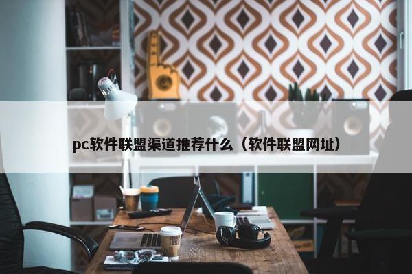 pc软件联盟渠道推荐什么（软件联盟网址）