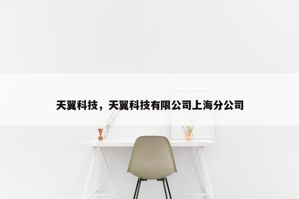天翼科技，天翼科技有限公司上海分公司