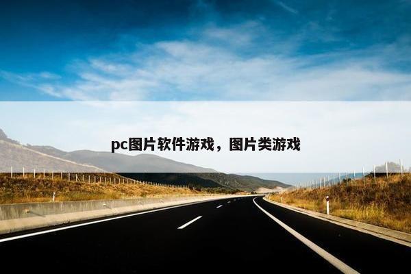 pc图片软件游戏，图片类游戏