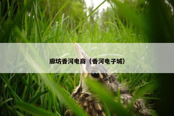 廊坊香河电商（香河电子城）