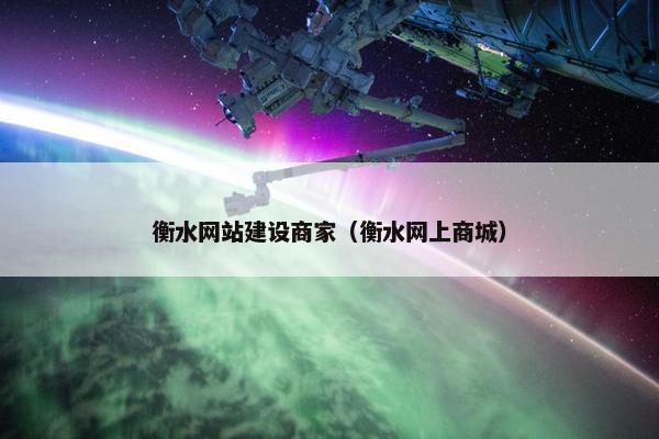 衡水网站建设商家（衡水网上商城）