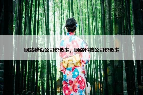 网站建设公司税负率，网络科技公司税负率